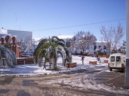 Imagen 027