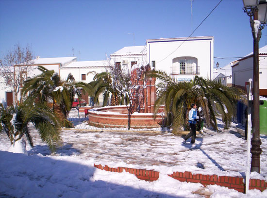 Imagen 030