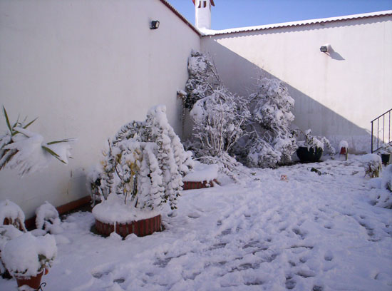 Imagen 048