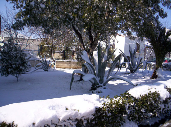 Imagen 063