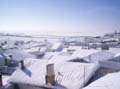Imagen 036