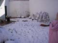 Imagen 046