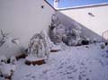 Imagen 048