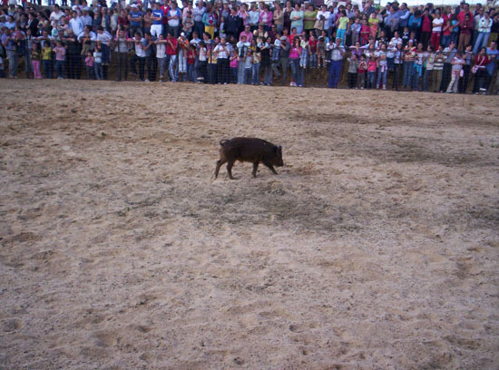 Imagen 161