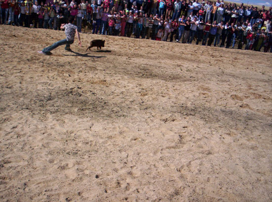 Imagen 175