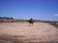 Imagen 016