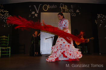 otono_flamenco 2 (37)