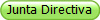 Junta Directiva